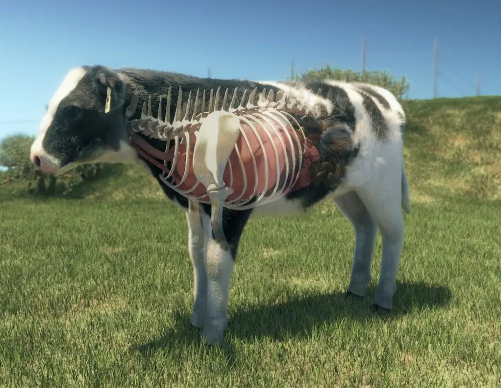 modelado-3d-de-un-animal estudio de animación 3d